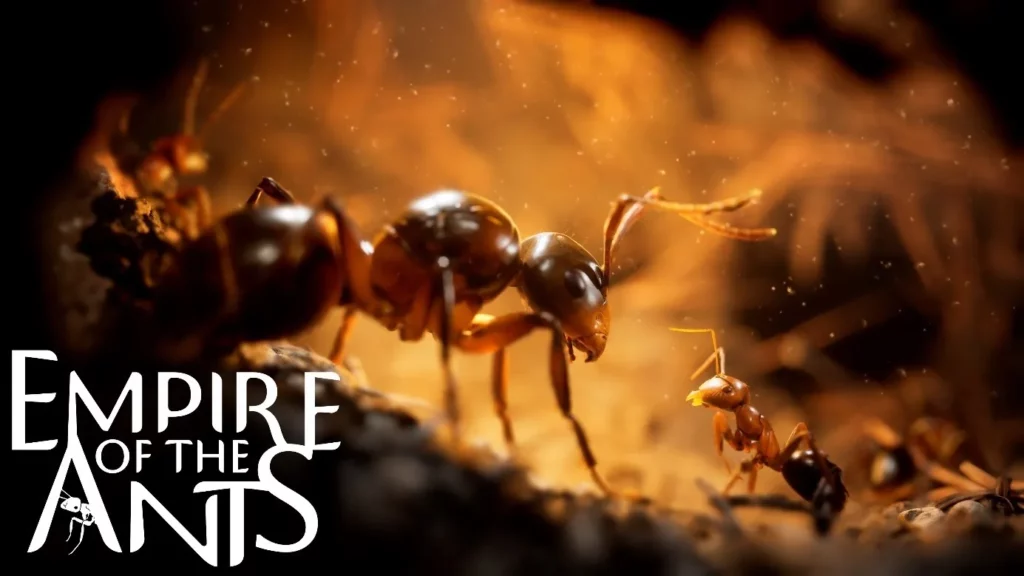 Recensione e Gameplay di Empire of the Ants